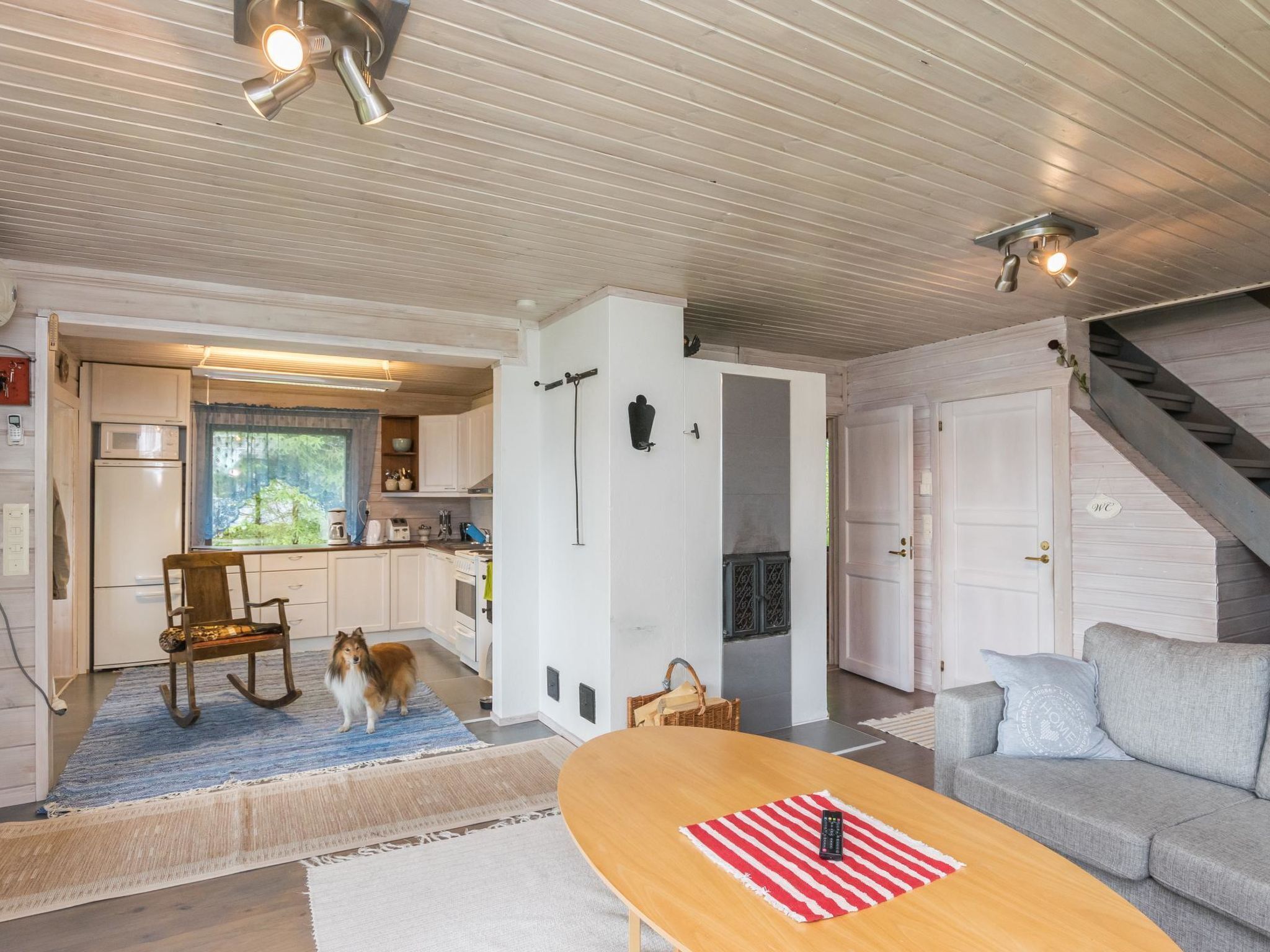 テレビ、DVD プレーヤー