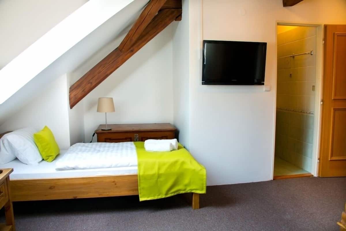 Un dormitorio con una cama, una mesita de noche, una lámpara, un televisor y una puerta de ducha.