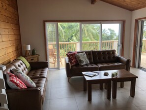 TV, video library - Large family home, tranquil hillside location with Pacific views (Nikao)
