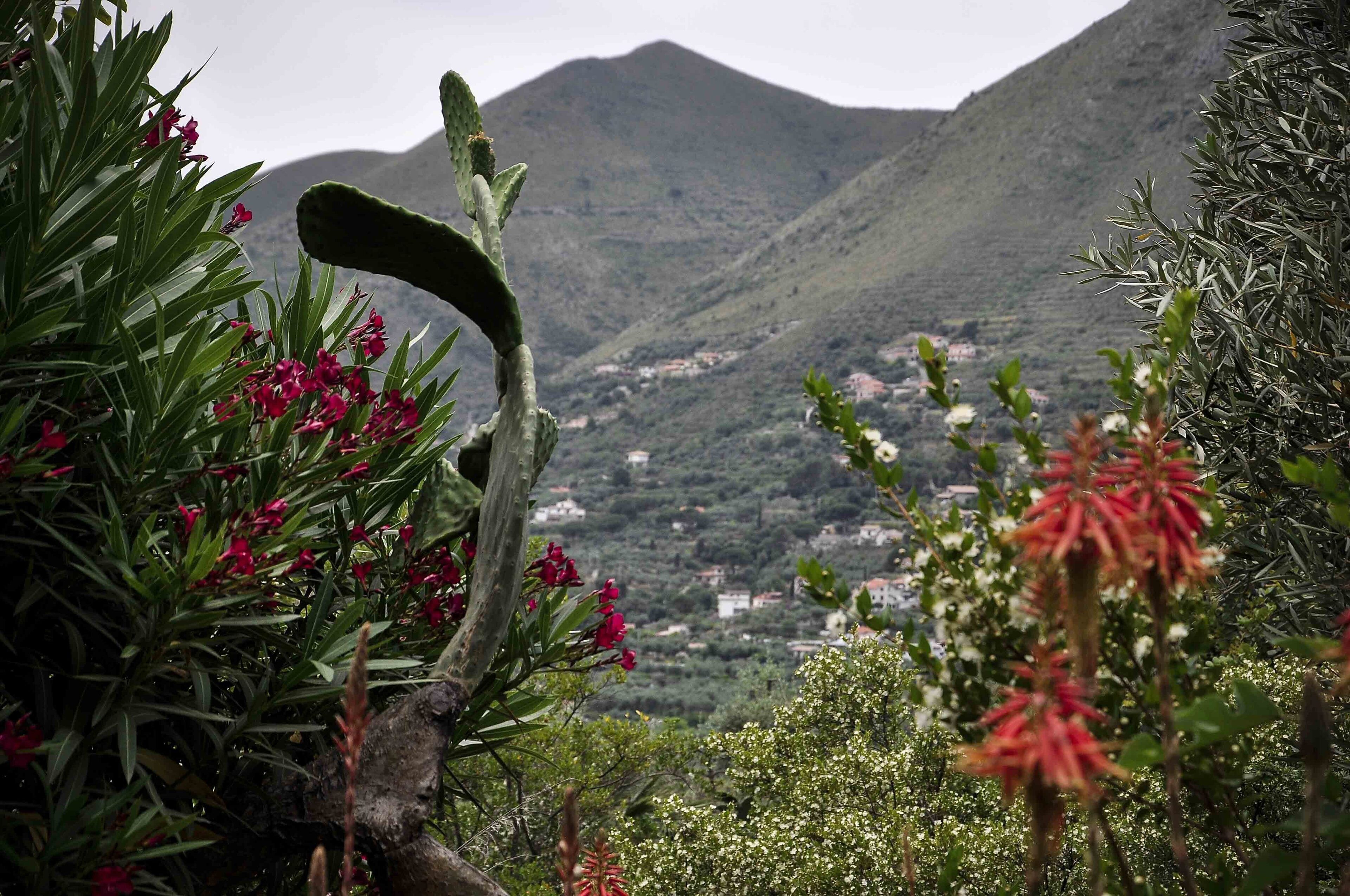 Un paisaje montañoso con un pueblo en el valle.
