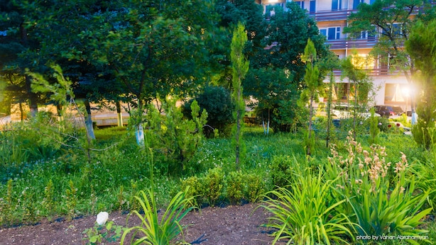 Un jardín con diversas plantas y árboles, un banco y un edificio con múltiples ventanas al fondo.