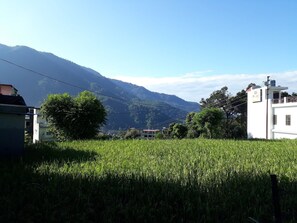 Área da propriedade