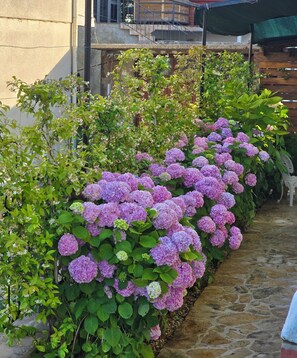 Exterior detail - Apartment Rustica Zadar with exclusive use of pool & yard (Zadar)