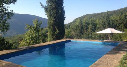 The house in Paradise