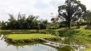 A wooden bridge over a pond with surrounding greenery and trees. - OYO 644 Grand Yustik Selabintana (Sukabumi)