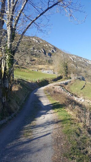 Une route de campagne sinueuse traverse un paysage vallonné, avec une maison en pierre et une clôture visibles au loin.