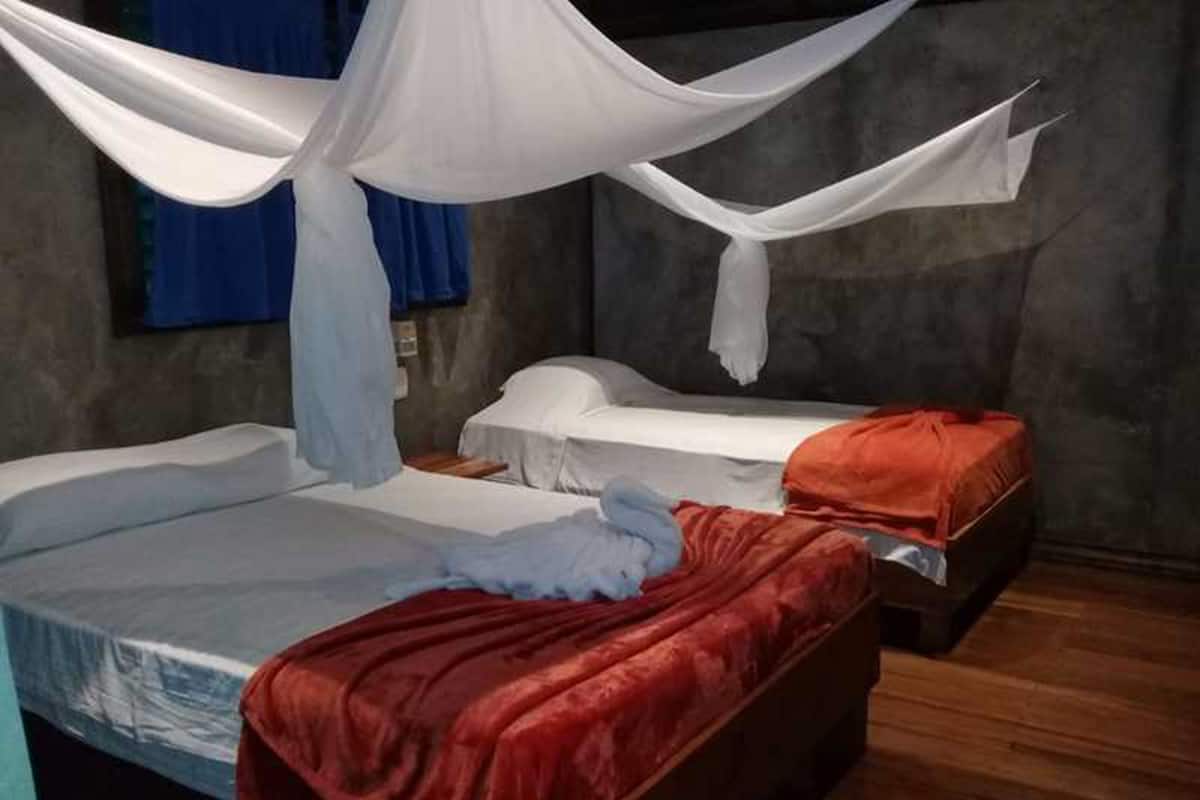 A bedroom with two beds, one with a red blanket and the other with a white blanket.