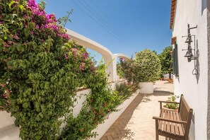 A narrow pathway flanked by lush greenery and a white wall with a wooden bench.