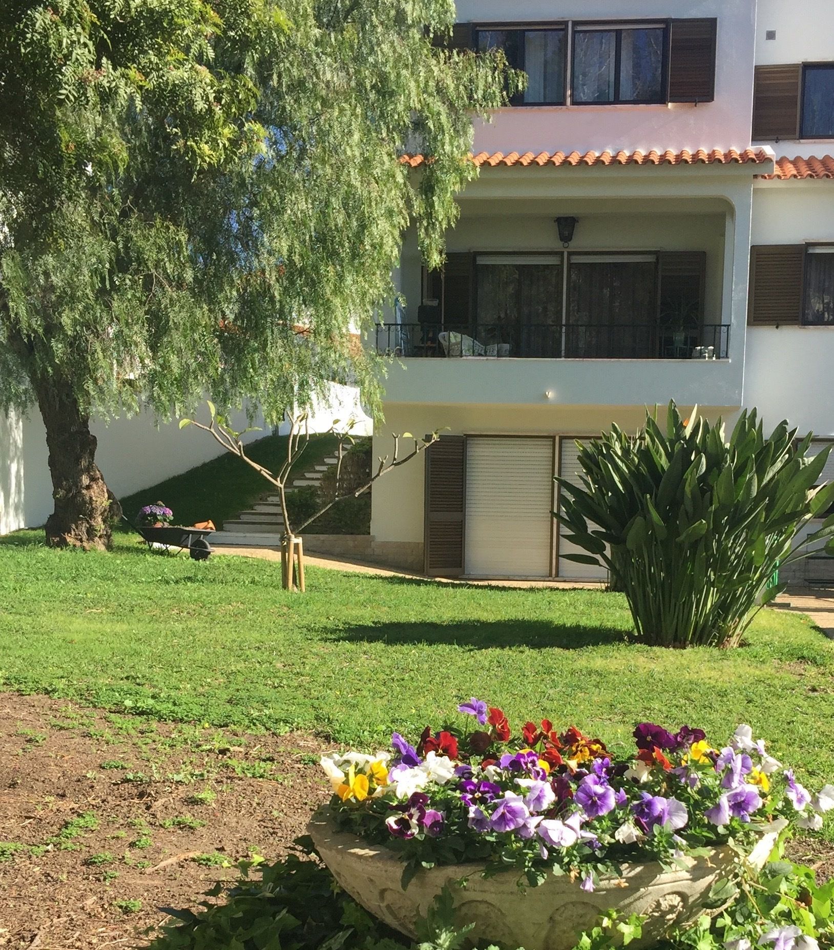 Photo - Paradise Suites