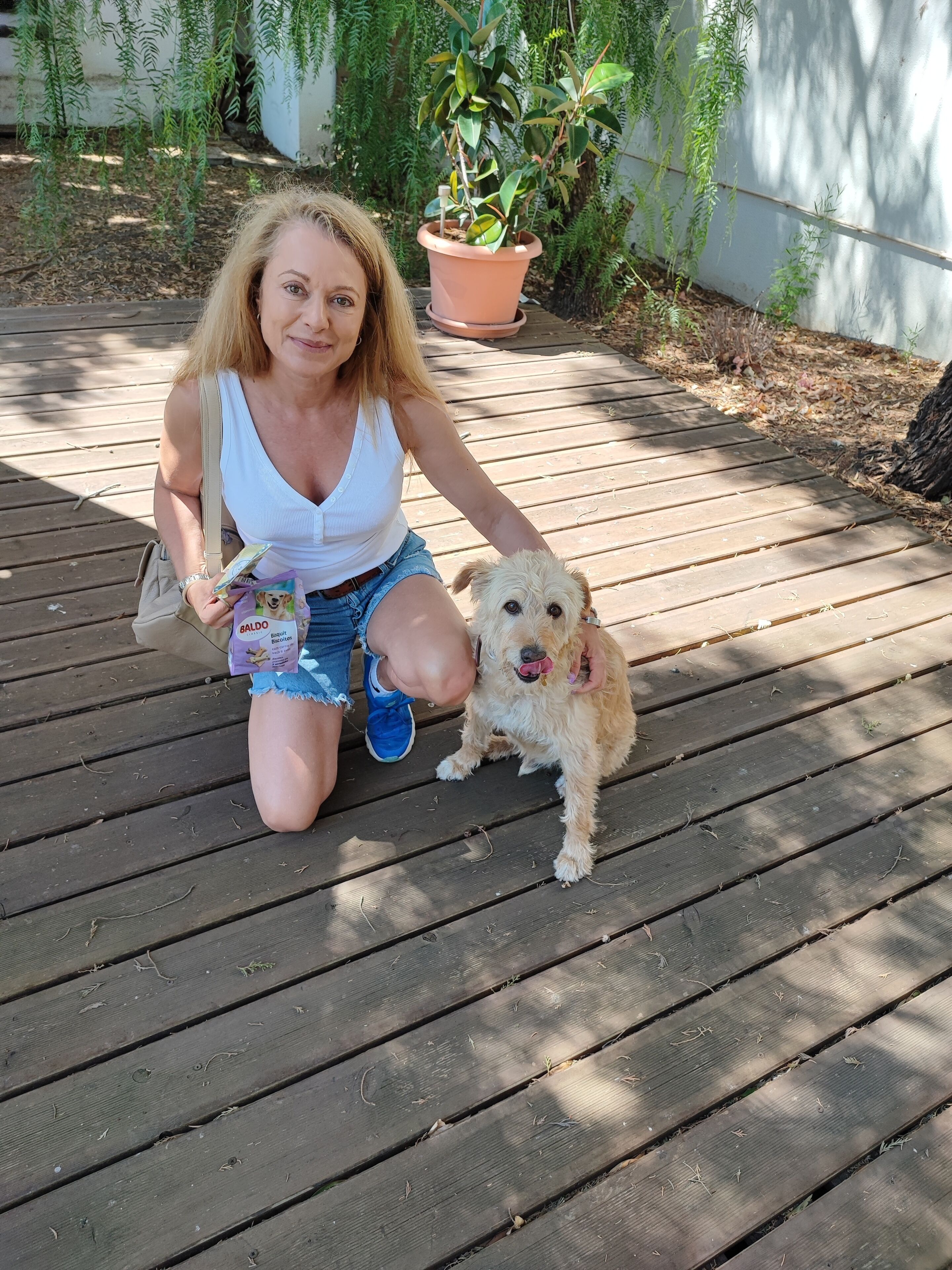 Photo - Paradise Suites