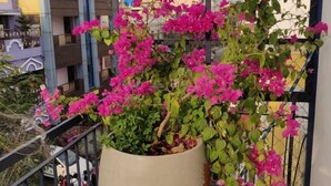 A balcony with a large potted plant of pink flowers. - The Paperflower - A Wandertrails Stay (Puducherry)