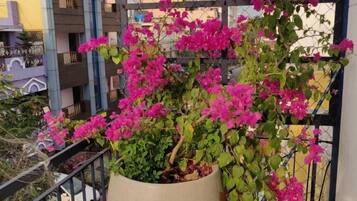 Executive Apartment, 1 King Bed, City View | Balcony