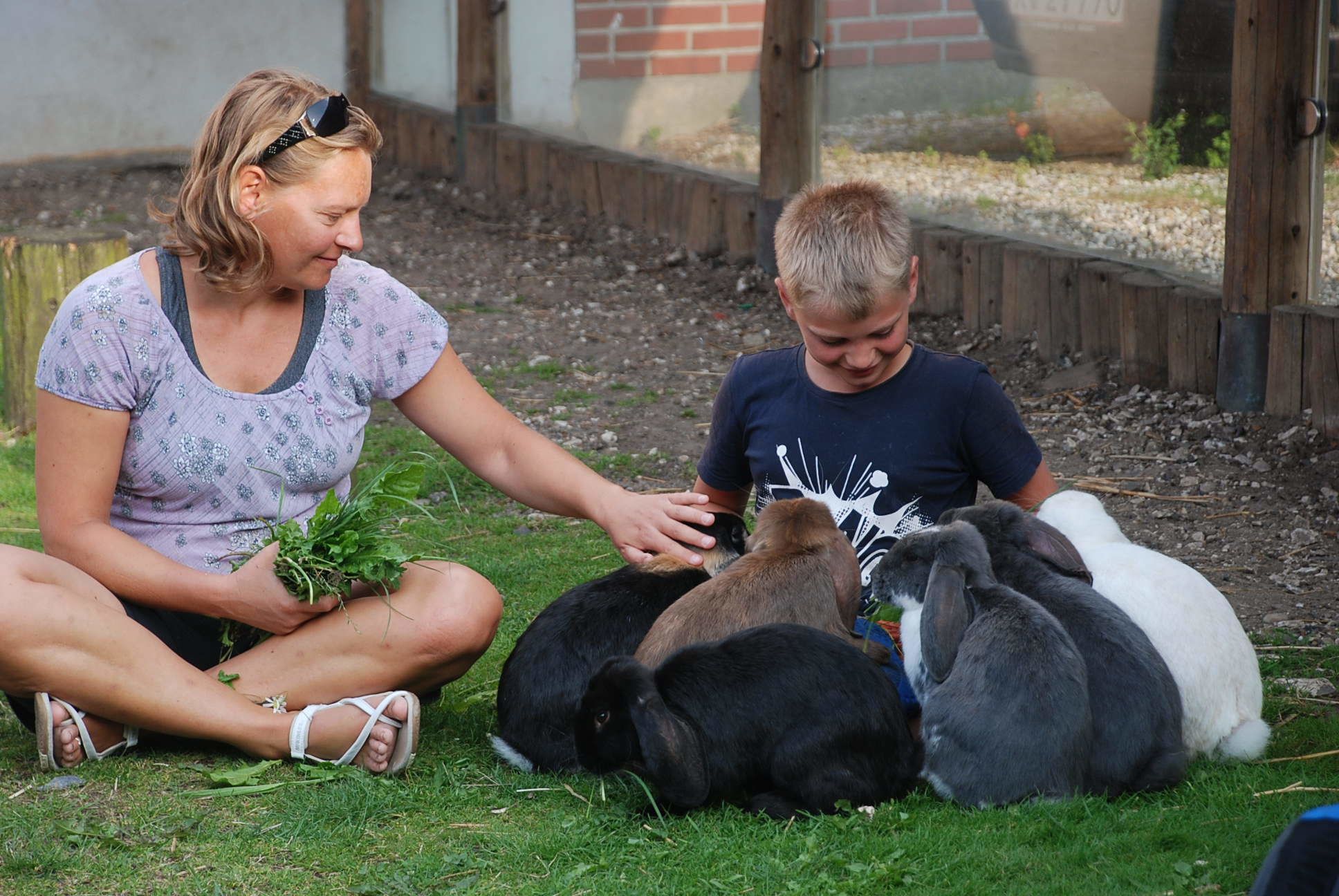 Two people sitting on grass with goats.