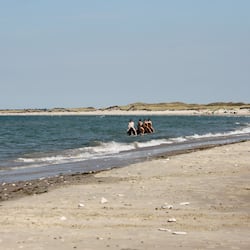 On the beach, white sand