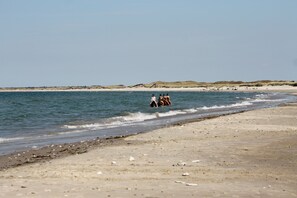 On the beach, white sand