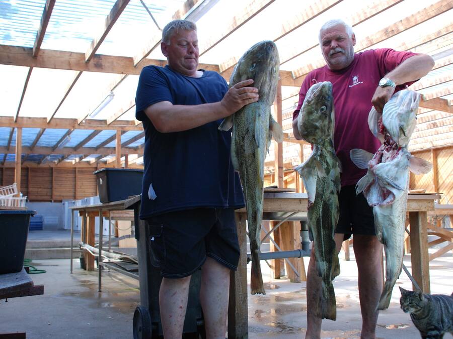 Deux hommes tenant de gros poissons dans une structure en bois, équipée de tables et de bancs.
