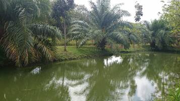 Halaman properti