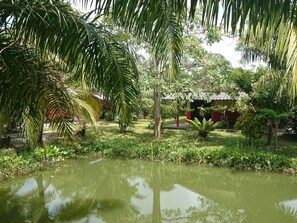 Property grounds - Coconut Valley Bed & Breakfast (Hua Sai)