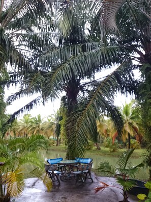 Property grounds - Coconut Valley Bed & Breakfast (Hua Sai)