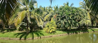 Coconut Valley Bed & Breakfast