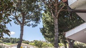 Zona residencial amb arbres, una casa blanca i un fanal.