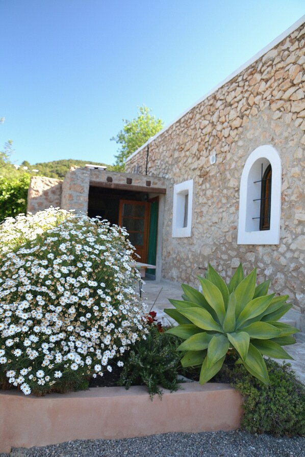 DĂ©tail de lâextĂ©rieur