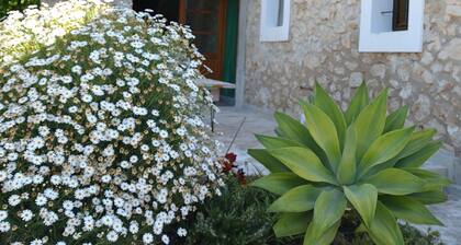 SCHÖNES IBICENCAN HAUS BEI KM 5