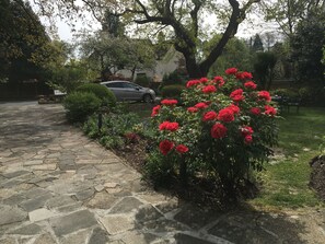 Overnattingsstedets uteområder