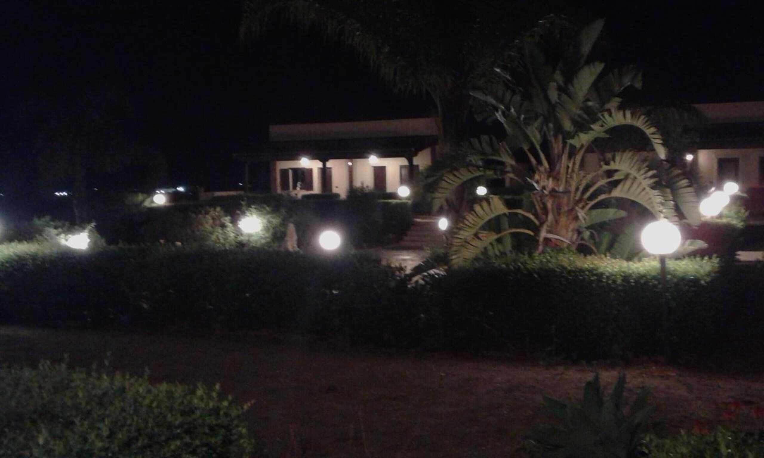 Une vue nocturne d’un bâtiment dont l’entrée est bien éclairée, avec un grand palmier au premier plan.