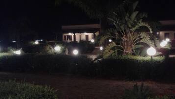 Une vue nocturne d’un bâtiment dont l’entrée est bien éclairée, avec un grand palmier au premier plan.