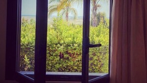 Una ventana con vistas a un paisaje tropical, con palmeras y vegetación.