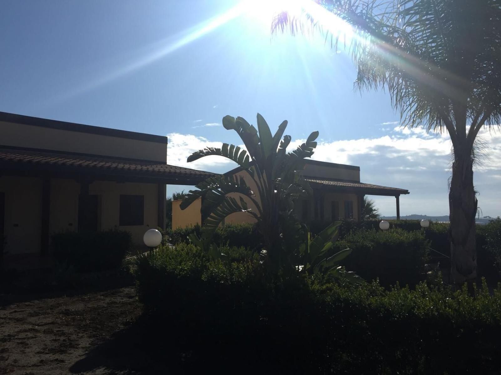 A building with a tiled roof, surrounded by lush greenery and a palm tree.