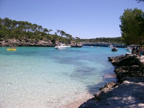 Strand