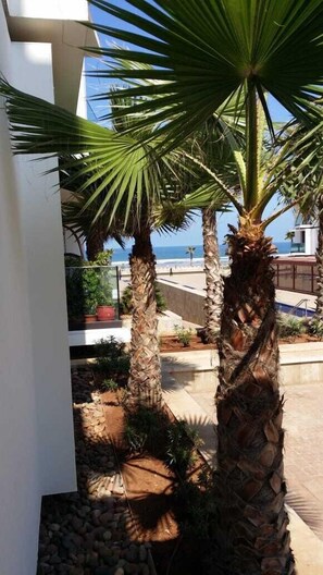 Vue depuis l’hébergement