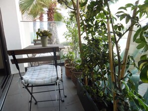 Deluxe Apartment, Multiple Beds, Partial Ocean View | Balcony