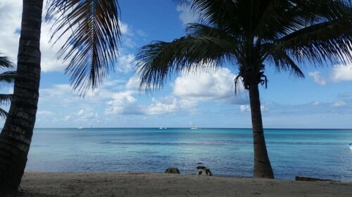 The emerald oasis of the caribbean