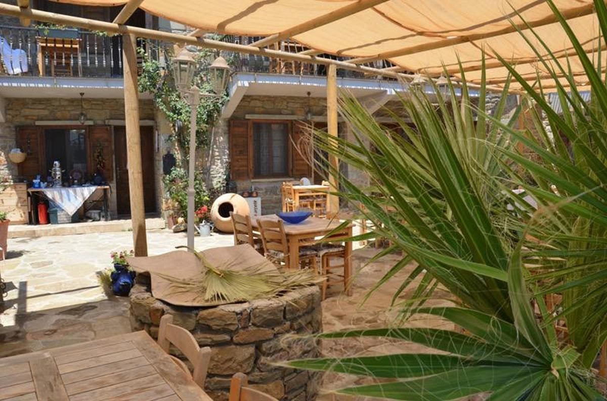 An outdoor patio area with stone flooring, wooden furniture, and a large green plant.