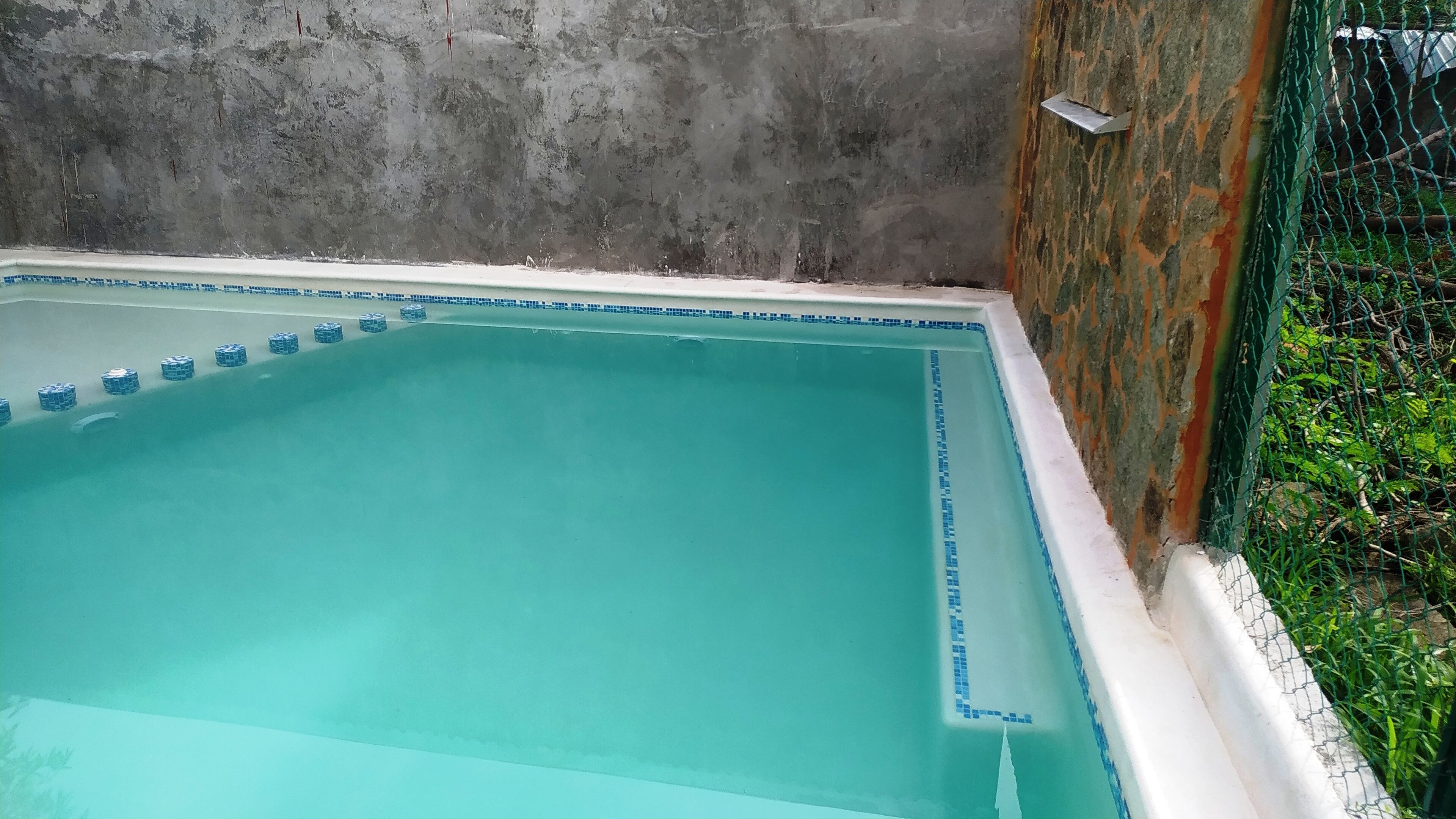A rectangular swimming pool with a blue tiled edge, surrounded by a concrete wall and a green fence.