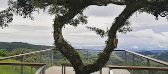 Country house N ° 2 in Finca Alta Vista Monteverde