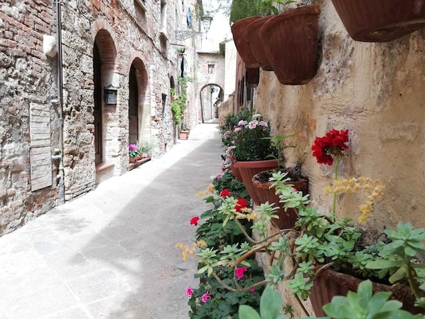 Parco della struttura