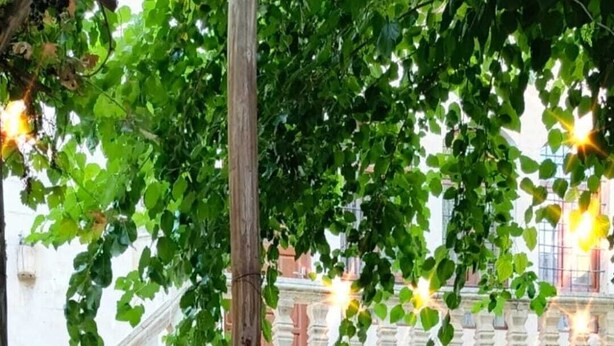 Un pati amb una font, plantes en testos i un edifici tradicional amb arcs.