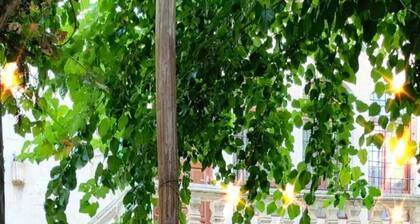 Sark Ciragan Konak Butik Otel