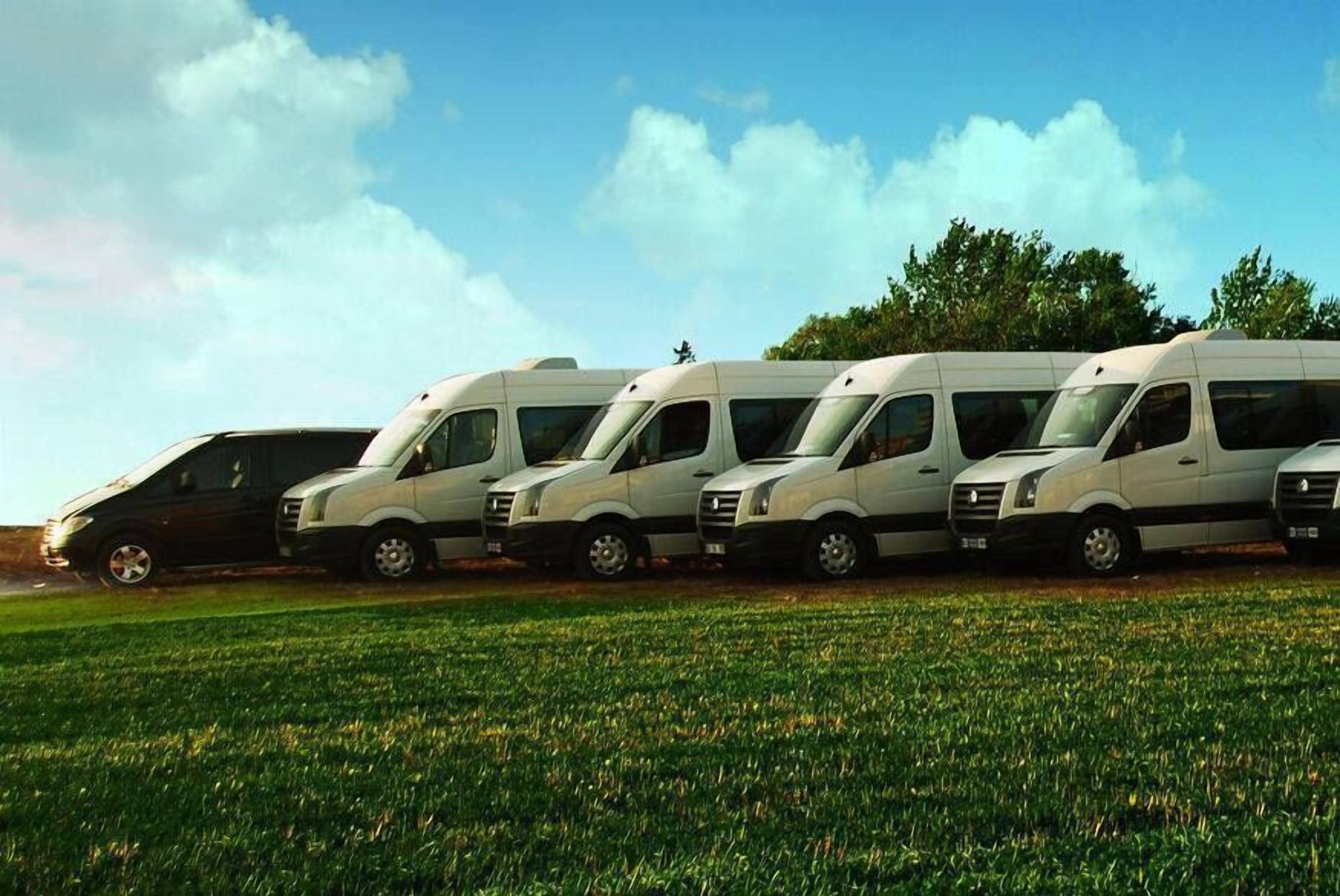 Una fila de camionetas blancas estacionadas en un campo cubierto de hierba, bajo un cielo despejado.