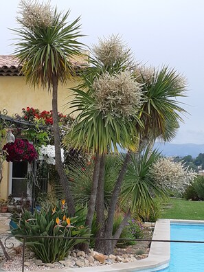 Außenpool, beheizter Pool