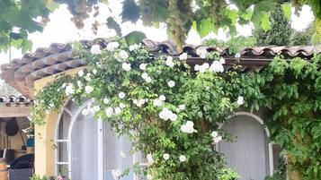 DĂ©tail de lâextĂ©rieur