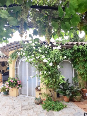 Detalle exterior