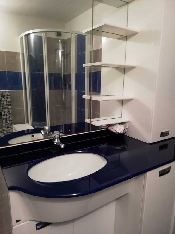 Hair dryer, towels, shampoo, toilet paper