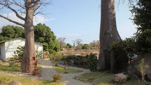 A rural pathway leading to a white building with a garden area, surrounded by large trees and rocks. - Ulisa Bay Lodge (Likoma Island)