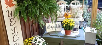  Cottage in the Woods- " Robin's Nest"-- 2mi. from Ricketts Glen falls trailhead