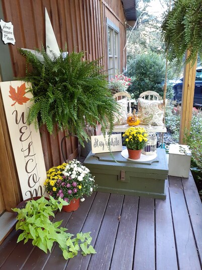  Cottage in the Woods- " Robin's Nest"-- 2mi. from Ricketts Glen falls trailhead